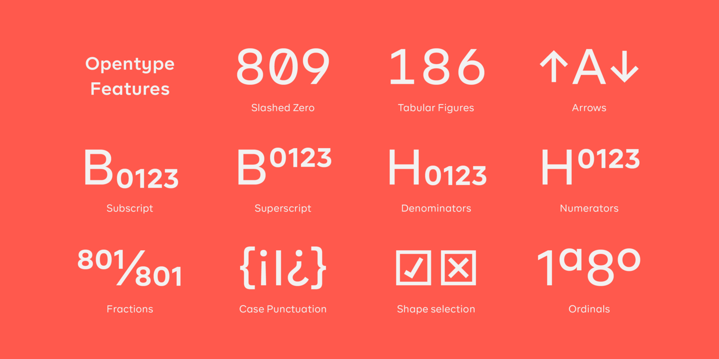 BR Firma Thin Italic Font preview